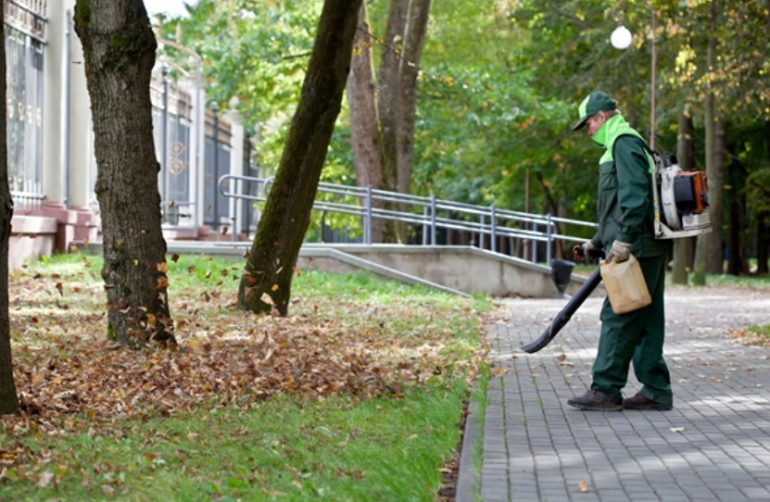 From Idea to Finished Yard: Step‑by‑Step Plan for Choosing a Landscaper in Calgary