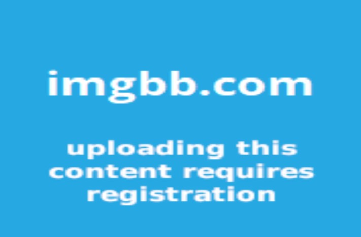 Camgo review and its 4 best alternatives